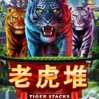 Tiger Stacks icon