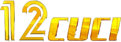 12cucinet.com Logo